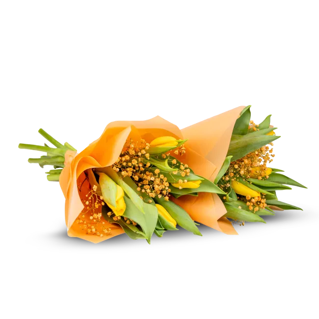 žluté